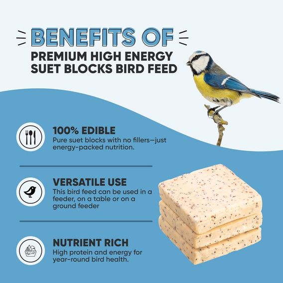 Happy Beaks - Seeded Suet Blocks